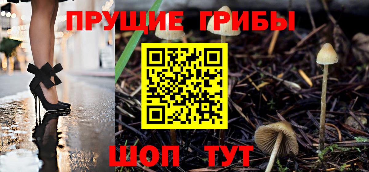 Псилоцибиновые грибы мухоморы Волжский