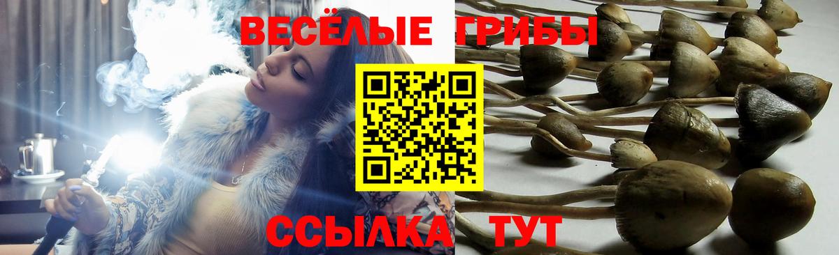 Галлюциногенные грибы Psilocybine cubensis  Вход с VPN  Волжский 